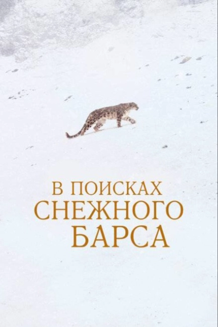 В поисках снежного барса