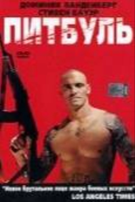 Питбуль