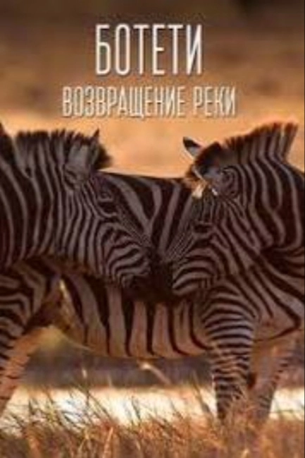 Ботети — возвращение реки