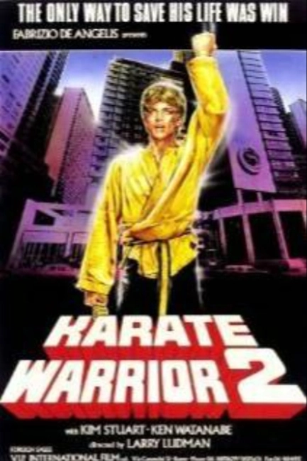 Золотое кимоно воина 2