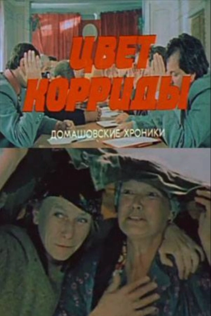 Цвет корриды
