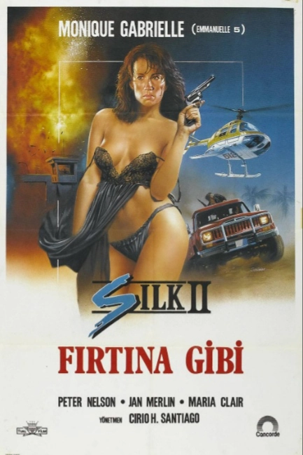 Шелк 2