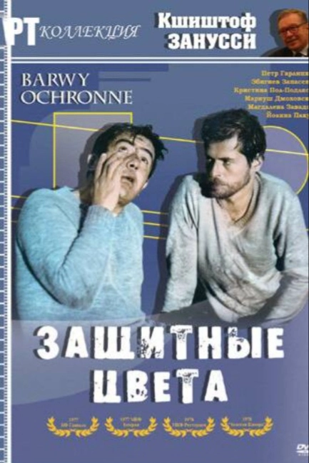 Защитные цвета