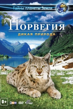 Норвегия 3D: Дикая природа (2013)