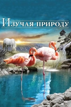 Изучая природу 3D  (2012)