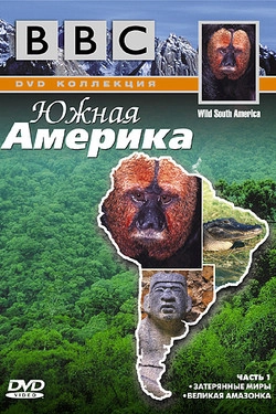 BBC: Южная Америка 