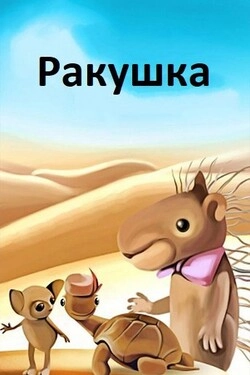Ракушка