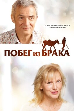 Ноги Святой Хильдегарды