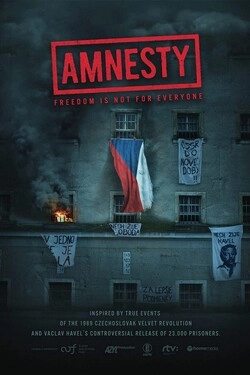 Амнистия 