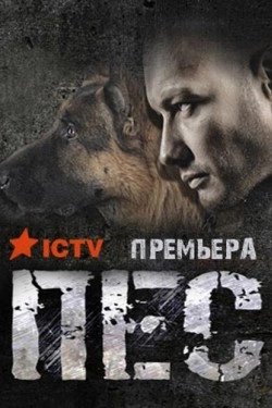 Пёс