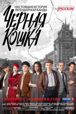 Чёрная кошка