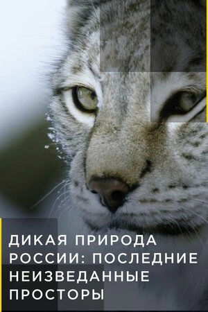 Дикая природа России: Последние неизведанные просторы