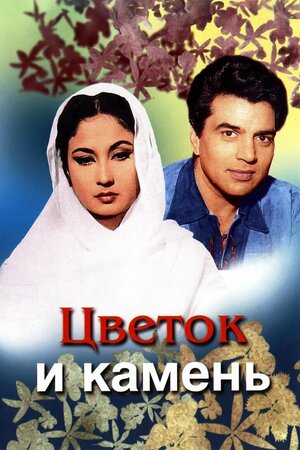 Daş və Çiçək