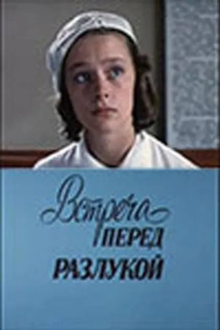 Встреча перед разлукой