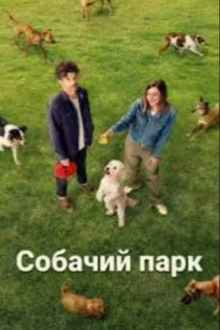 Собачий парк