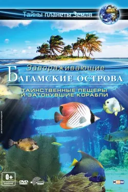 Багамские острова 3D: Таинственные пещеры и затонувшие корабли