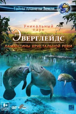 Эверглейдс 3D: Ламантины Кристальной реки 3D (2012)