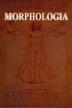 Морфология