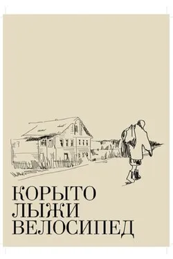 Корыто, лыжи, велосипед