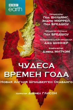 Чудеса времён года
