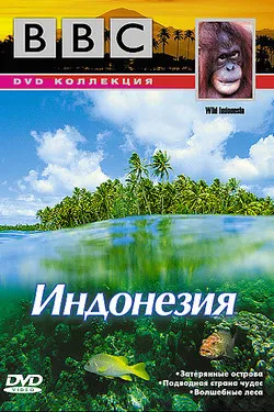 BBC: По странам и континентам. Индонезия