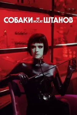 Собаки не носят штанов