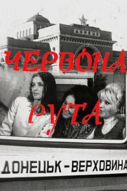 Червона рута