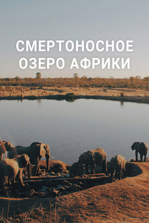 Смертоносное озеро Африки