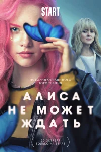 <h1>Алиса не может ждать</h1>