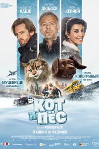 <h1>Кот и пёс</h1>
