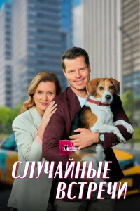 <h1>Случайные встречи</h1>