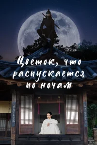 <h1>Ночной цветок</h1>