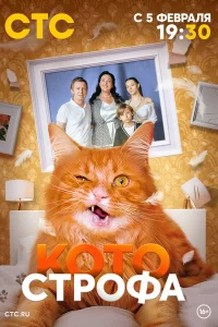 <h1>Котострофа</h1>