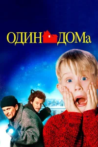 <h1>Evdə tək</h1>