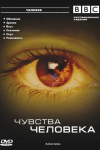 <h1>BBC: Чувства человека</h1>