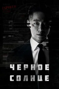 <h1>Чёрное солнце</h1>