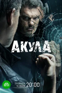 <h1>Акула</h1>