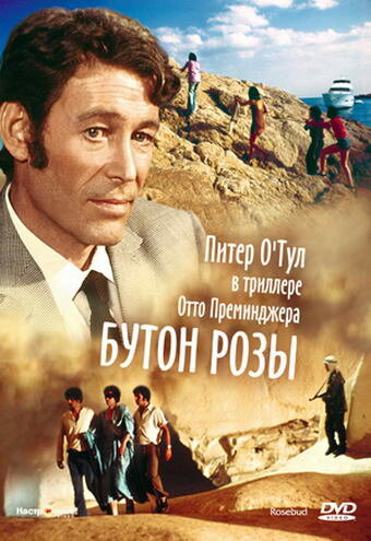 <h1>Бутон розы</h1>