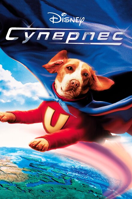 <h1>Суперпес</h1>