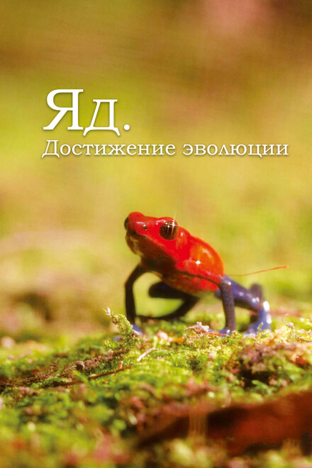 <h1>Яд. Достижение эволюции</h1>