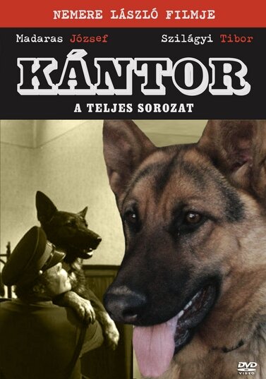 <h1>Кантор - собака-детектив</h1>