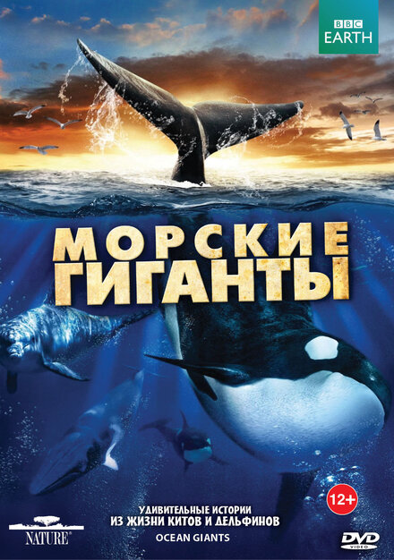 <h1>BBC: Морские гиганты</h1>