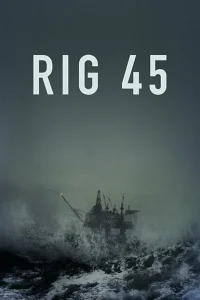 <h1>Платформа 45</h1>
