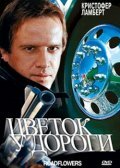 <h1>Цветок у дороги</h1>