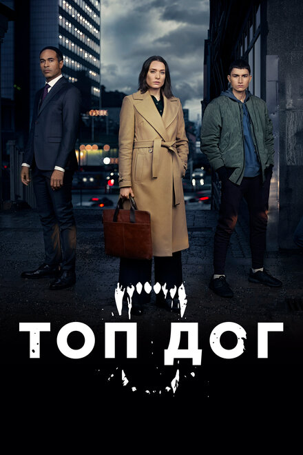 <h1>Топ дог</h1>
