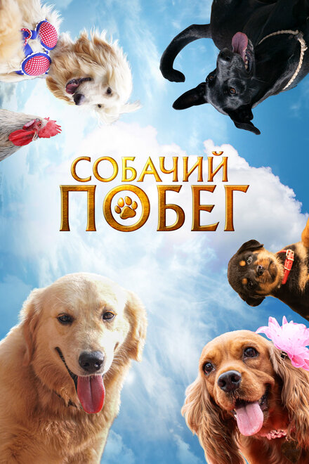 <h1>Собачий побег</h1>