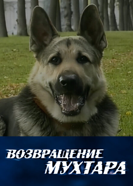 <h1>Возвращение Мухтара</h1>