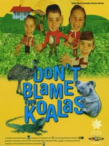 <h1>Коалы не виноваты</h1>