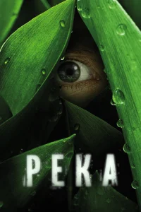 <h1>Река</h1>