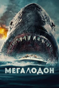 <h1>Мегалодон</h1>